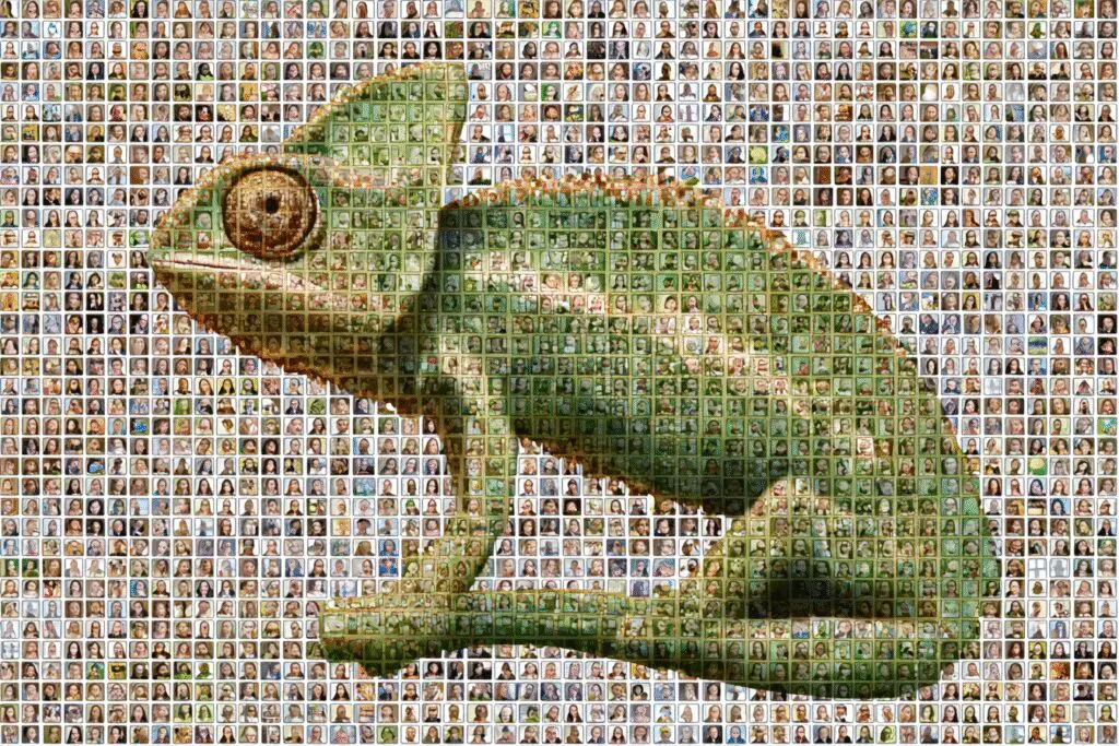 A chameleon profile blending into the background a metaphor for the FAQ does Hinge have an incognito mode - Dating Man Secrets - Psychology Attraction Tips Revealed A chameleon profile blending into the background a metaphor for the FAQ does Hinge have an incognito mode