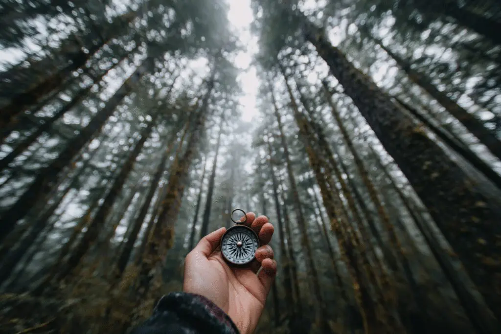 A person with a spinning compass in a forest illustrating the answer to the FAQ can you search for someone on Hinge