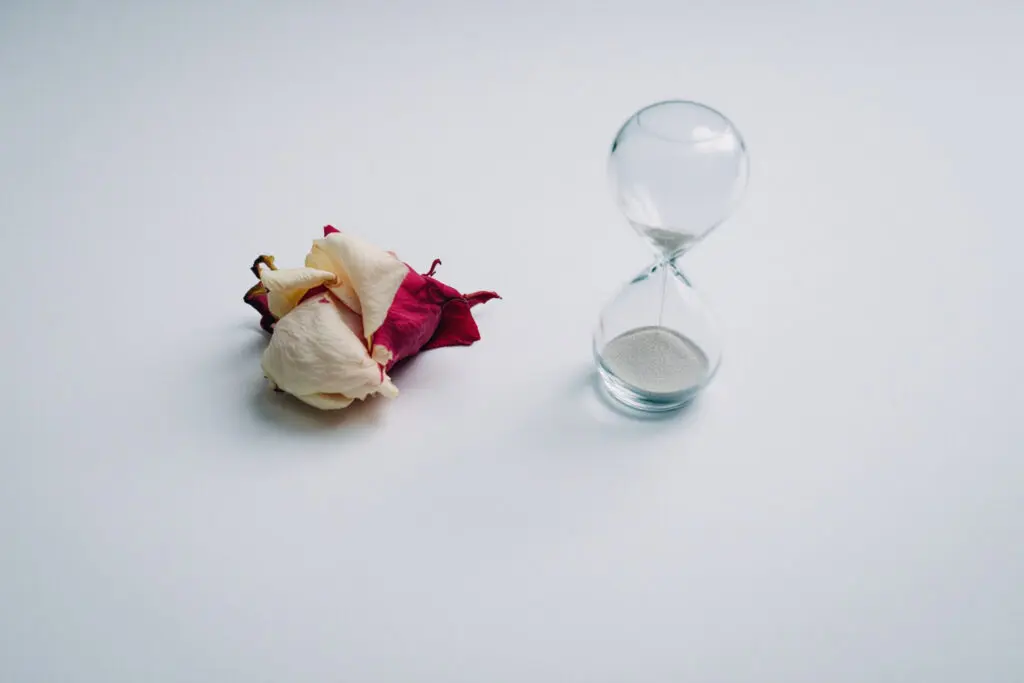 a symbolic image illustrating the no contact rule featuring a wilting rose next to an empty hourglass signifying the cessation of communication over time
