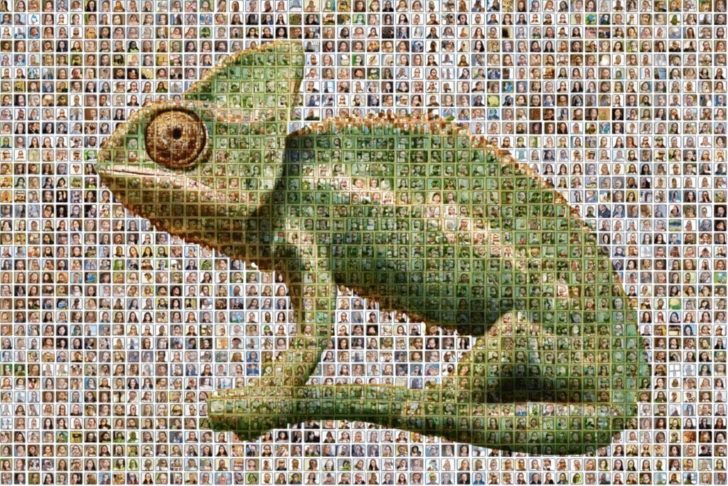 A chameleon profile blending into the background a metaphor for the FAQ does Hinge have an incognito mode