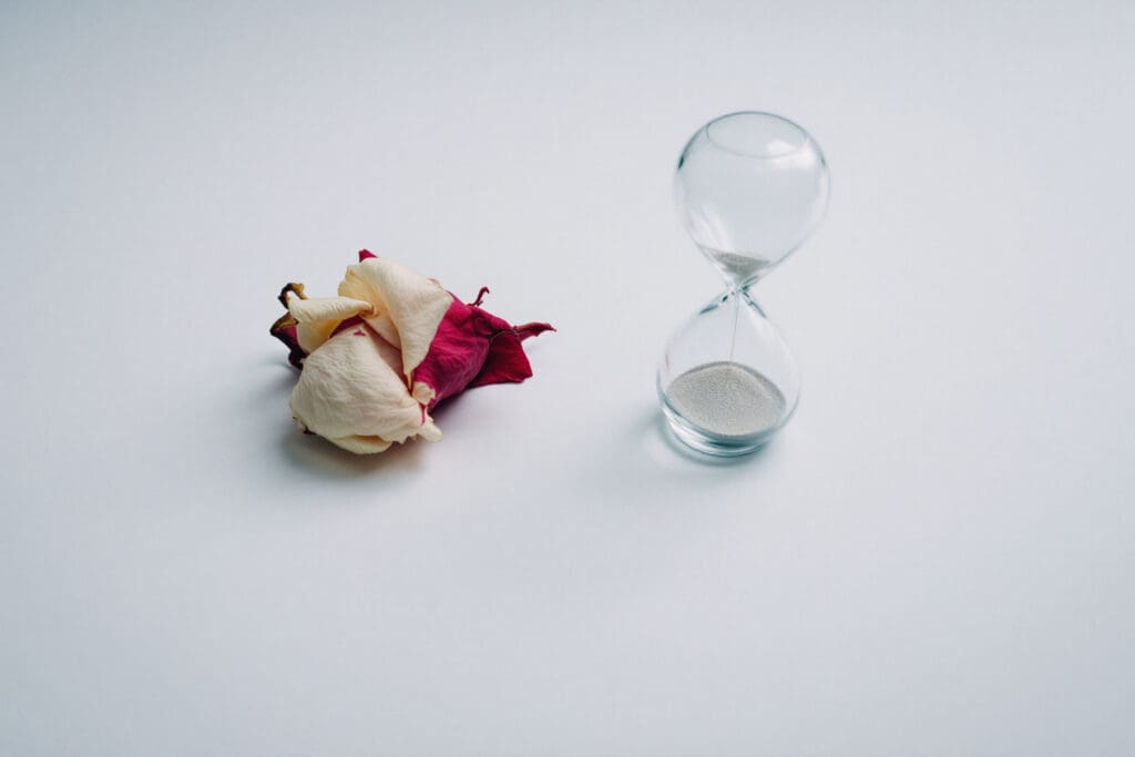 a symbolic image illustrating the no contact rule featuring a wilting rose next to an empty hourglass signifying the cessation of communication over time