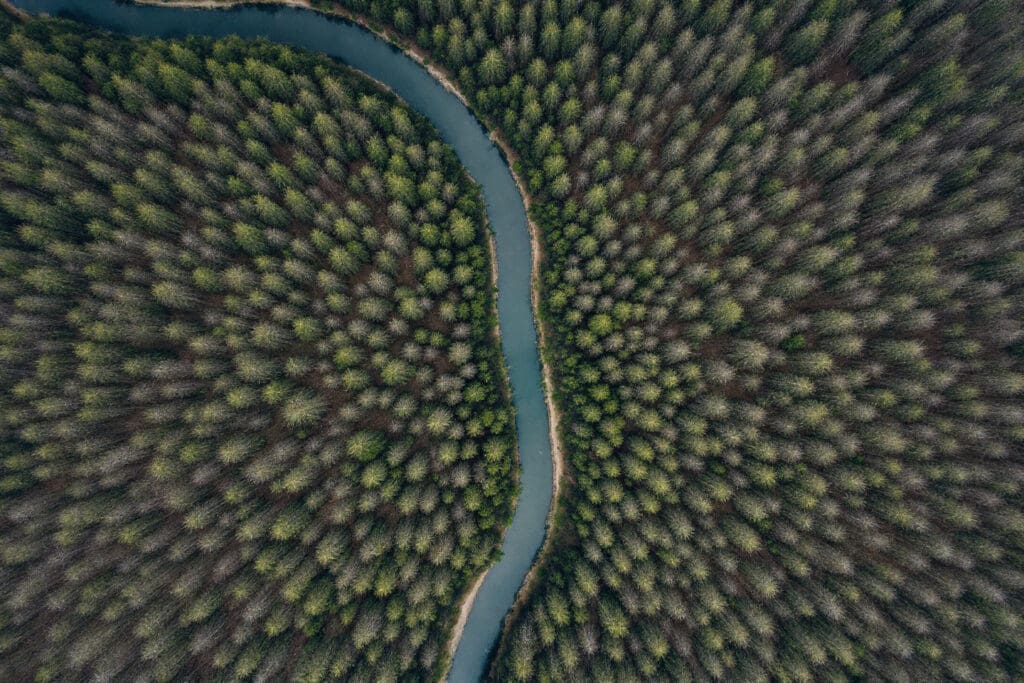 an aerial view illustrating why do men come back showing a river looping back to itself through a dense forest symbolizing a return to familiarity